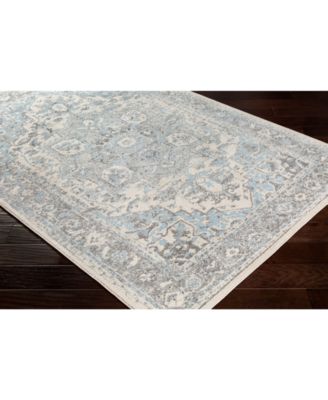 Surya - Chelsea CSA-2318 Pale Blue 18" Square Swatch