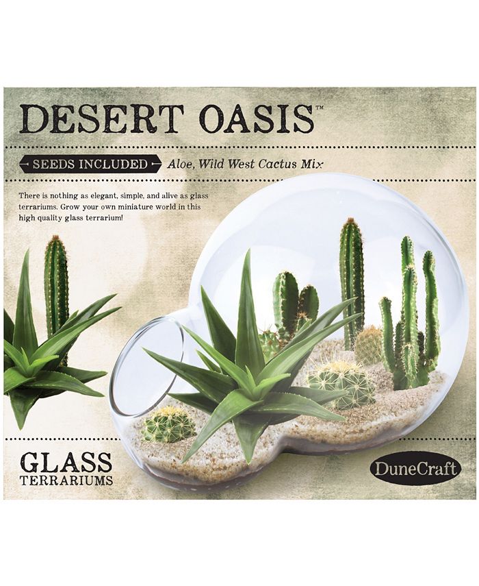 DuneCraft Double Bubble Glass Terrarium Desert Oasis Macy's