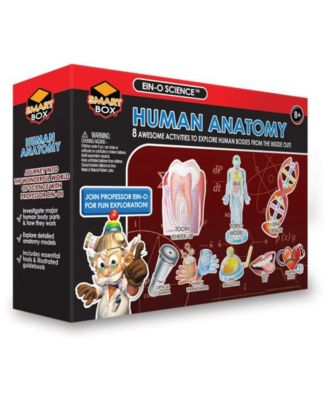 Tedco Toys