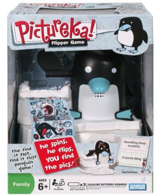 Hasbro Pictureka Flipper
