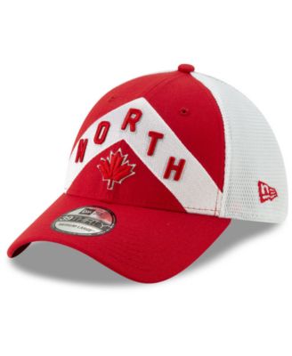 raptors hat lids