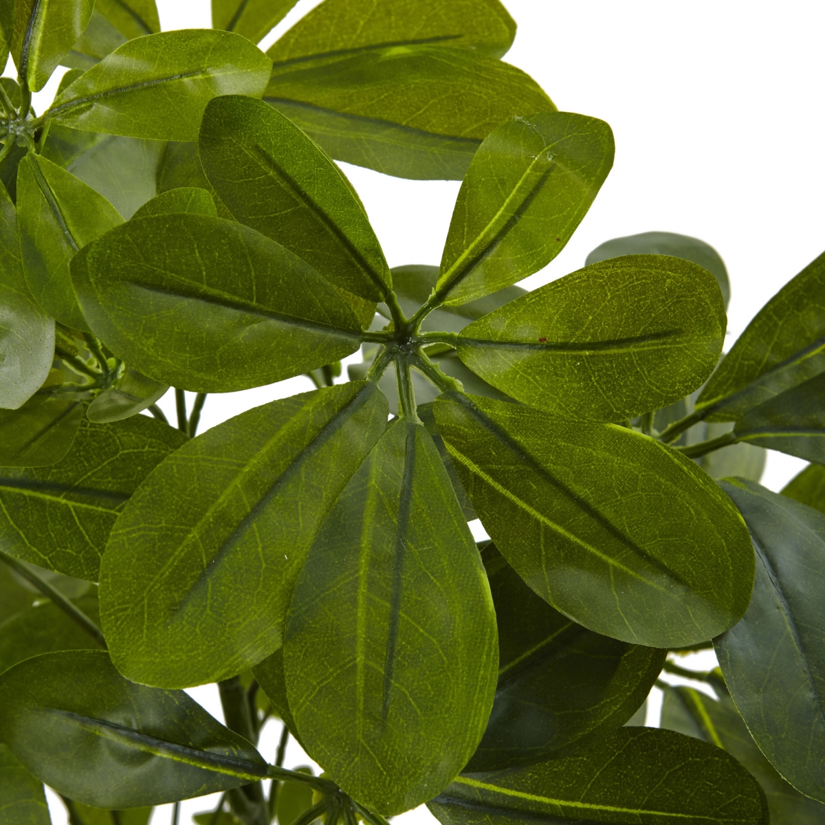 Nearly NaturalBaby Schefflera Artificial Plant Real Touch, Set of 2 - Green