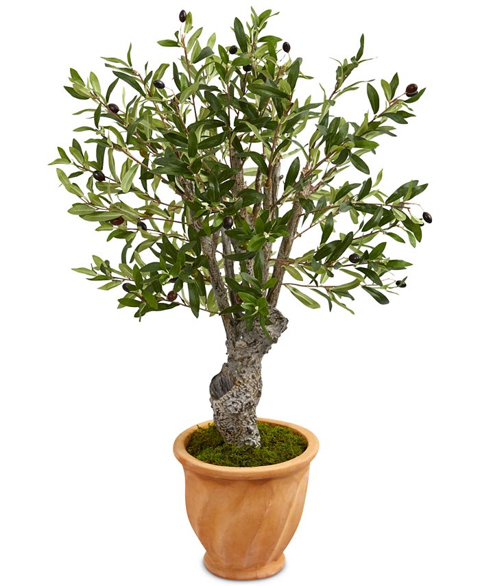 Nearly Natural 3' Olive Artificial Tree in Terracotta Planter & Reviews