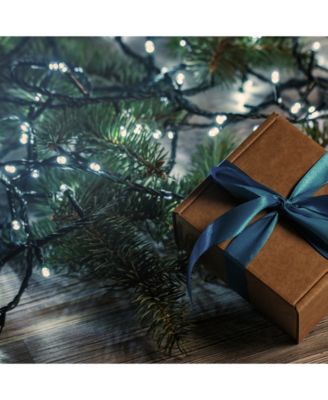 Lumabase Set of 2 Warm White Battery Operated LED Mini String Lights