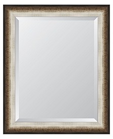 Black and Soft Silver Radiant Swan Framed Mirror - 28.5" x 34.5" x 2"