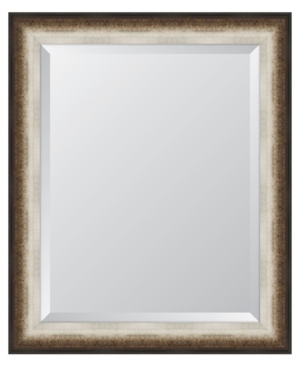 Melissa Van Hise Black And Soft Silver Radiant Swan Framed Mirror - 28.5" X 34.5" X 2" In Multi
