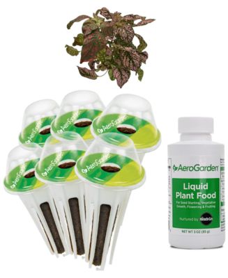 AeroGarden Lots of Dots 6-Pod Seed Kit - Macy's