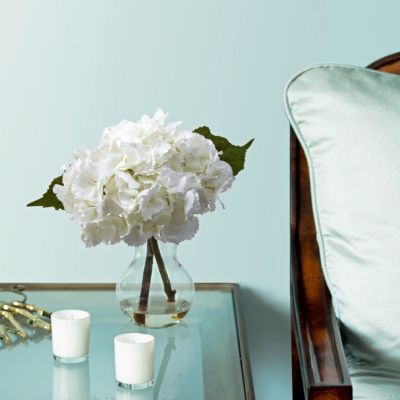 Blooming Hydrangea w/ Vase Arrangement