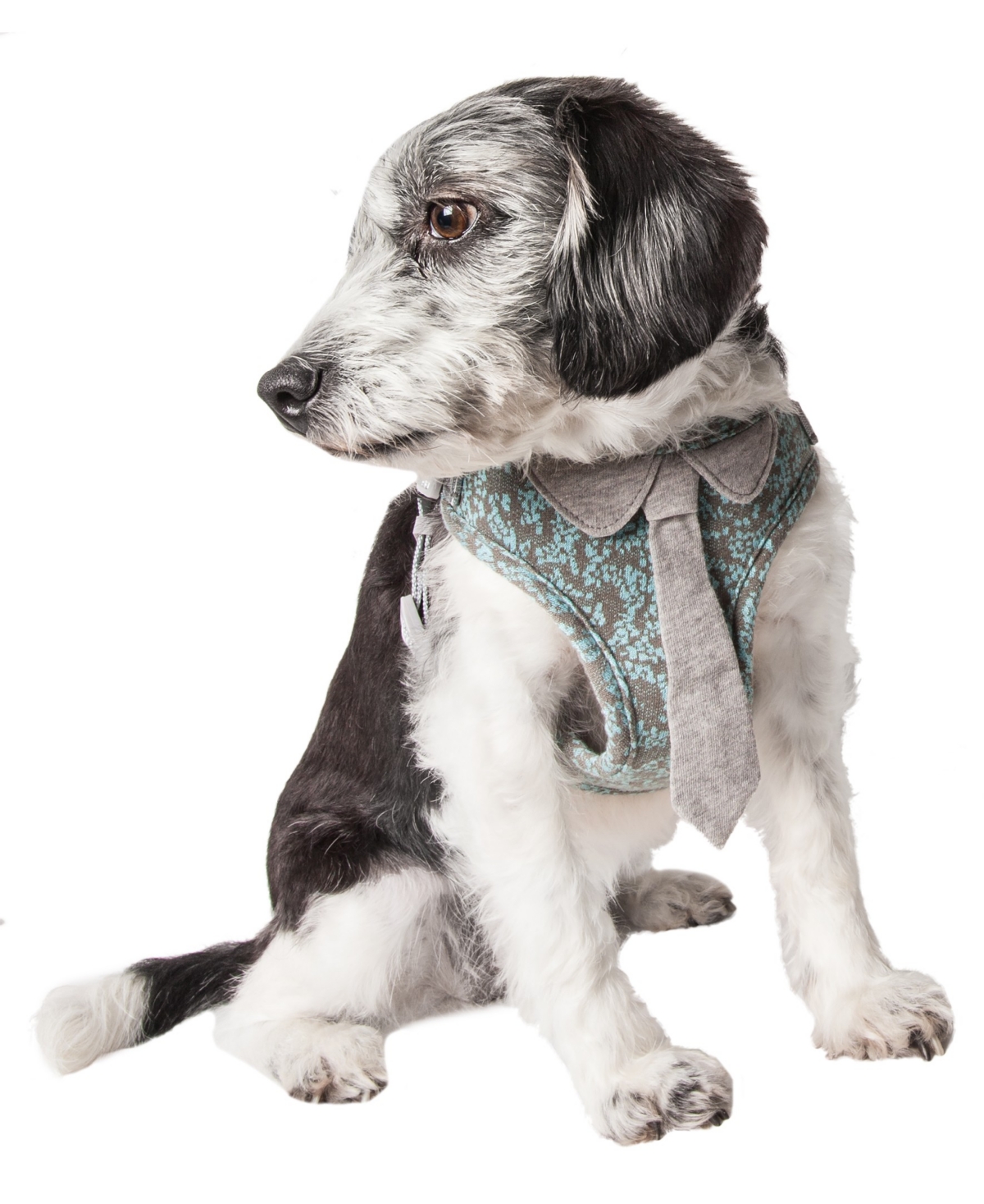 'Fidomite' Reversible and Adjustable Dog Harness with Neck Tie - Blue