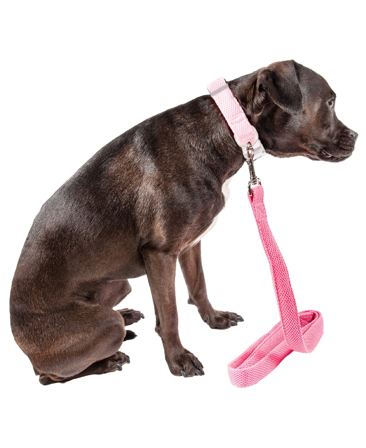 Pet Life 'Aero Mesh' Comfortable and Breathable Adjustable Mesh Dog Leash