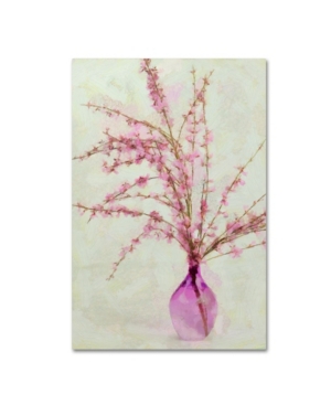 Trademark Global Cora Niele 'pink Broom In Glass' Canvas Art In Multi