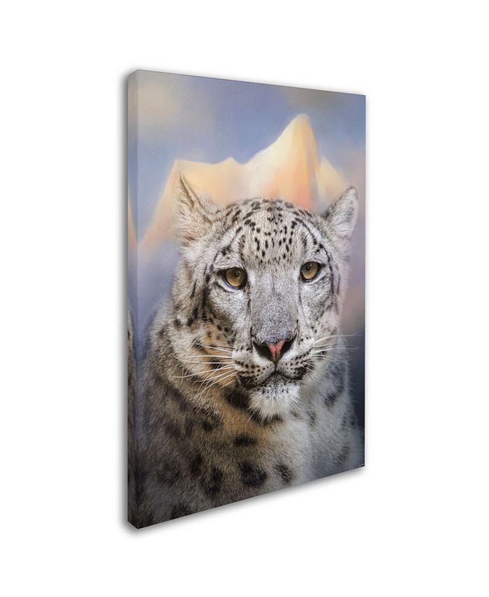 Trademark Global Jai Johnson 'Snow Leopard At The Mountain' Canvas Art ...