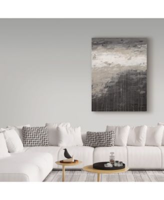 Hilary Winfield 'Lithosphere Gray Paint' Canvas Art - 47" x 35" x 2"