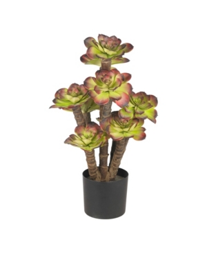 Nearly Natural Echeveria Silk Plant In Green