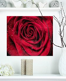 Designart 'Red Rose Petals With Rain Droplets' Floral Metal Wall Art - 20" X 12"