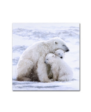Trademark Global The Macneil Studio 'polar Bear Cubs' Canvas Art In Multi