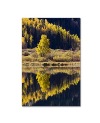 Robert Harding Picture Library 'Forest Scene 1' Canvas Art - 19