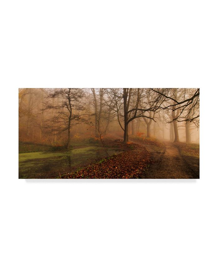 Trademark Global Leif Londal 'Which Path Ii' Canvas Art - 19