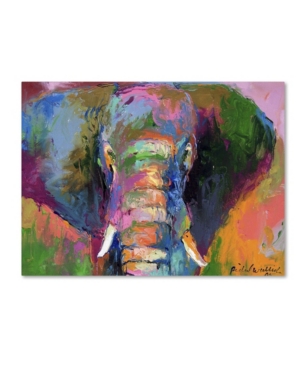 Trademark Global Richard Wallich 'elephant 2' Canvas Art In Multi
