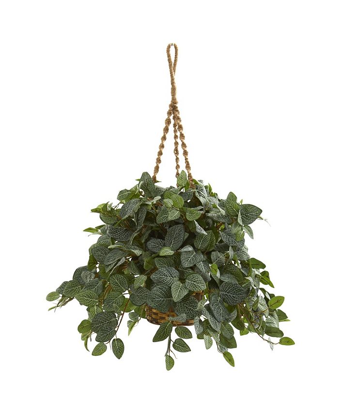 Nearly Natural Fittonia Artificial Plant in Hanging Basket Macy's