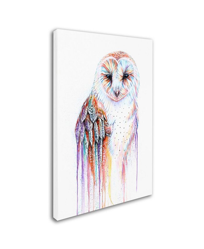 Trademark Global Michelle Faber 'Barred Rainbow Owl' Canvas Art - 19