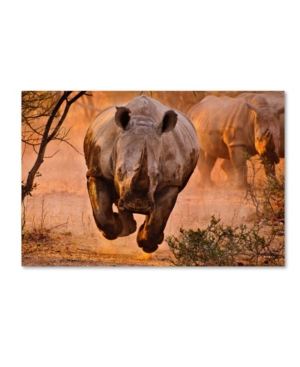 Trademark Global Justus Vermaak 'rhino Learning To Fly' Canvas Art In Multi