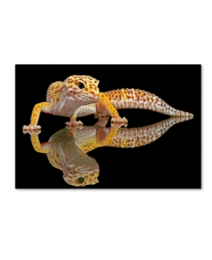 Trademark Global Dikky Oesin 'leopard Gecko' Canvas Art In Multi
