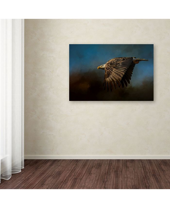 Trademark Global Jai Johnson 'Storm Chaser Bald Eagle' Canvas Art - 47 ...