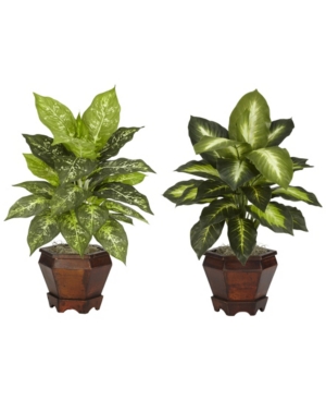 Nearly Natural Dieffenbachia W/wood Vase Silk Plant, Set Of 2 In Assorted