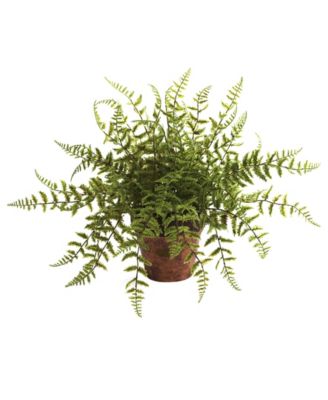 Fern w/ Decorative Planter, Set of 2