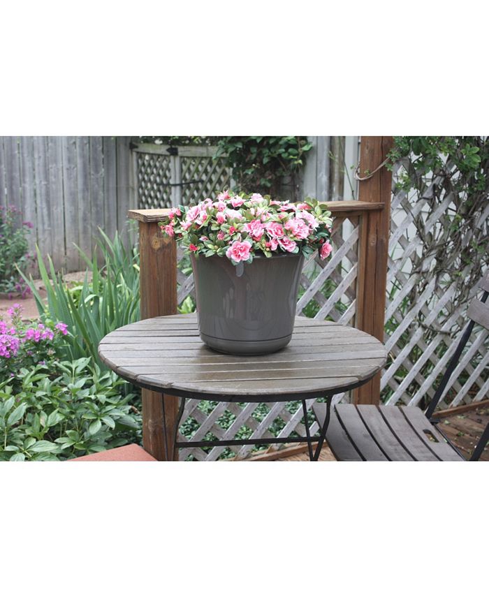 Bloem 10" Expressions Planter Macy's