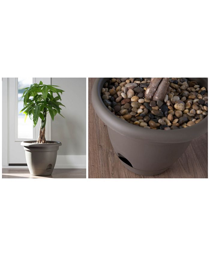 Bloem Lucca 10" Self Watering Planter Macy's