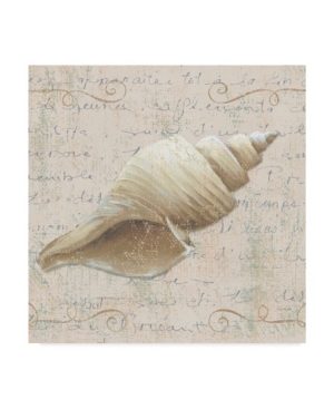 Trademark Global Lisa Audit 'coastal Beauty Iii' Canvas Art In Multi