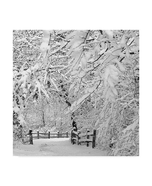 Winter Wonderland Wall Decorations Trademark Global Incredi Winter  Wonderland  White Canvas 