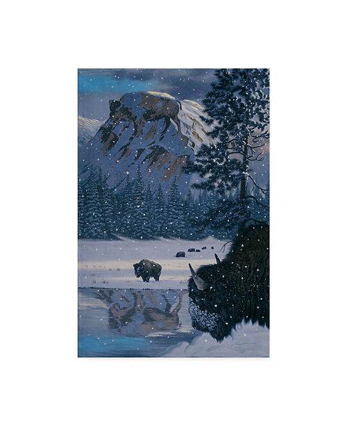 Trademark Global D Rusty Rust Winter Buffalo Canvas Art 22 X