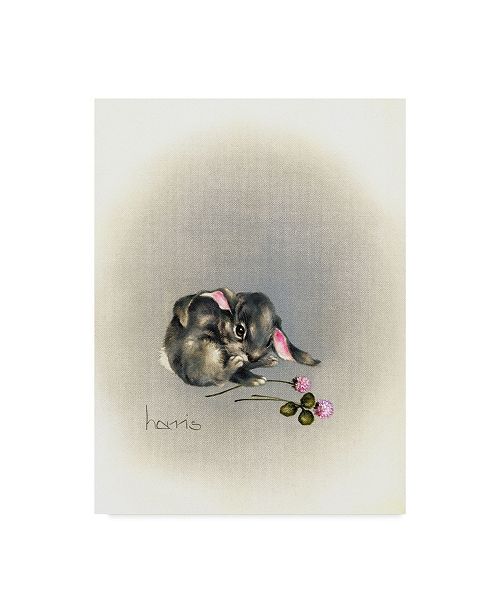 Trademark Global Peggy Harris Ears Lookin At You Kid Canvas Art