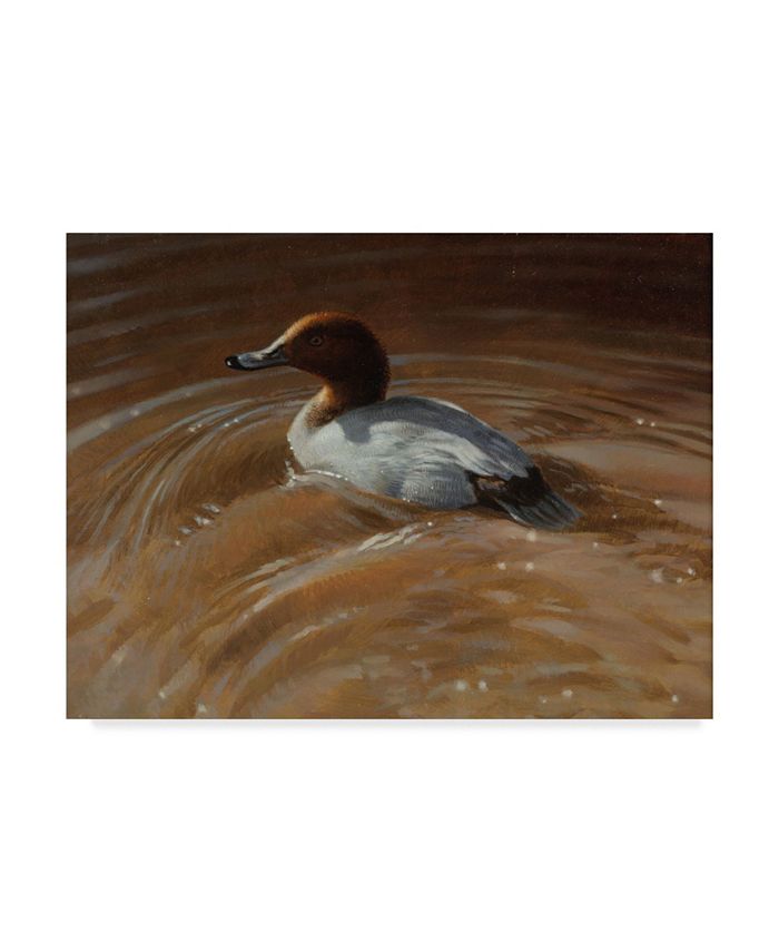 Trademark Global Michael Jackson 'Duck In Rippled Water' Canvas Art ...