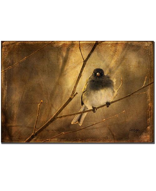 Trademark Global Lois Bryan Backlit Birdie Being Buffeted Canvas