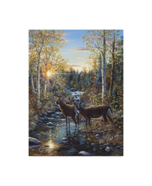 Trademark Global Jeff Tift 'whitetail Deer' Canvas Art In Multi