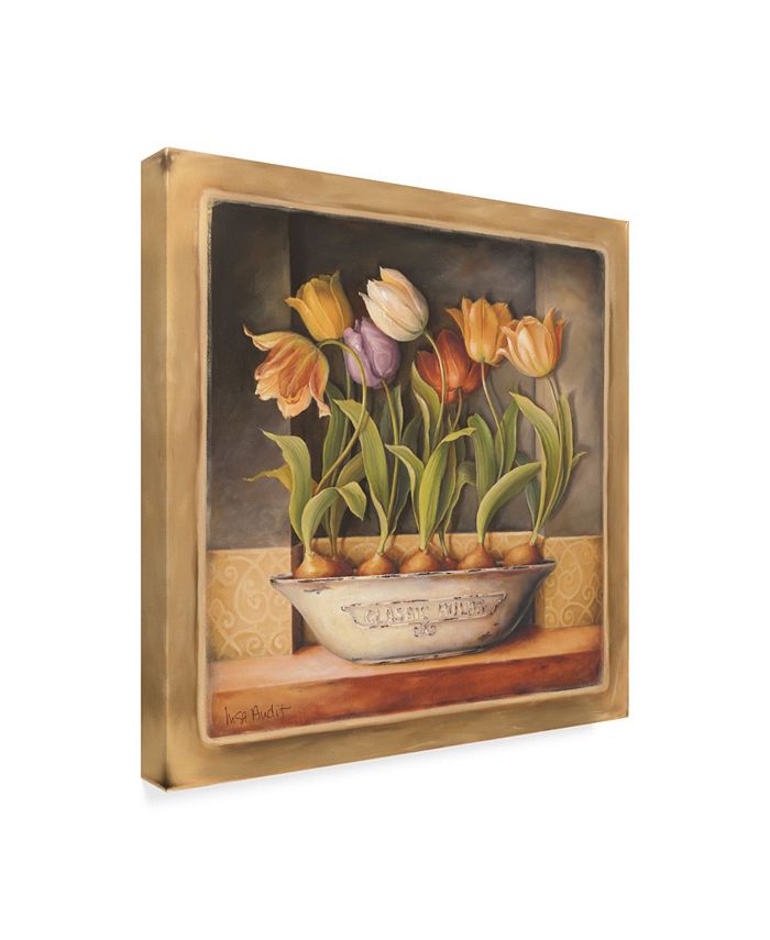Trademark Global Lisa Audit 'Tulip Classic Bulb' Canvas Art - 14