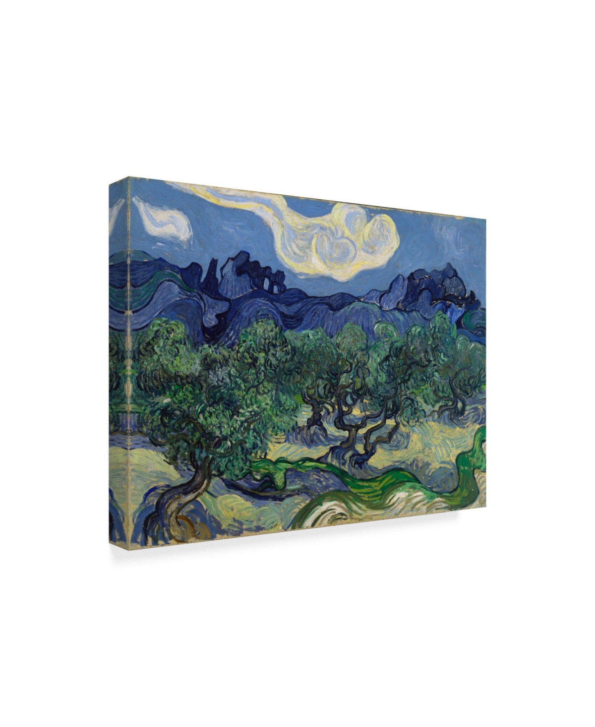 Vincent Van Gogh 'The Olive Trees' Canvas Art -