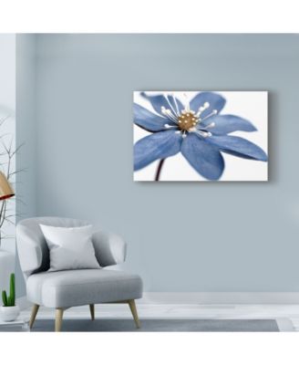 Tom Quartermaine 'Blue Flower On White' Canvas Art - 24" x 16"