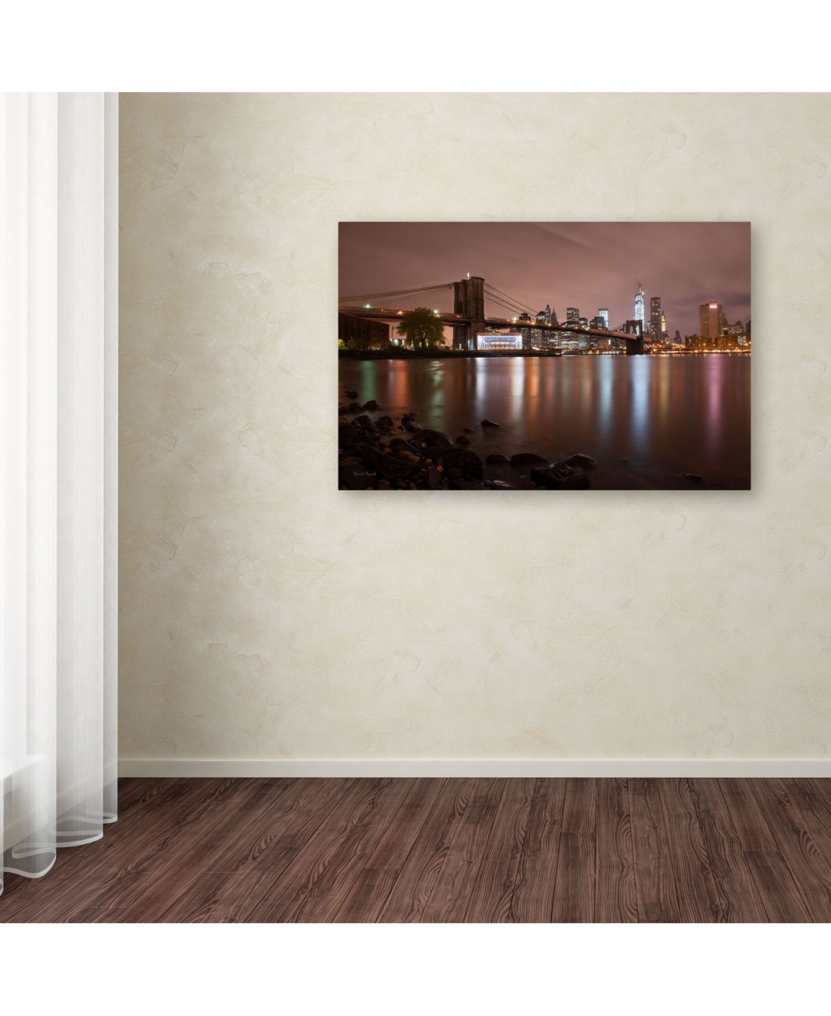 David Ayash 'Jane's Carousel, Brooklyn Bridge-Color' Canvas Art -