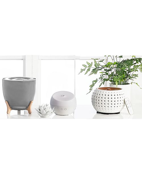 Homedics Ellia Gather Ultrasonic Aroma Diffuser & Reviews Wellness