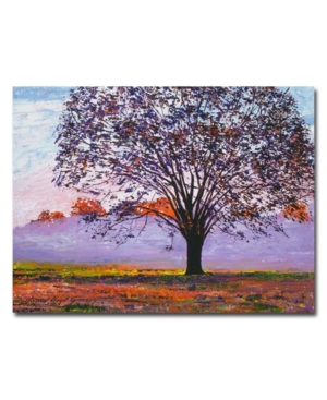 Trademark Global David Lloyd Glover 'majestic Tree In Morning Mist' Canvas Art In Multi