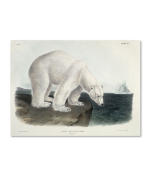 Trademark Global John James Audubon 'ursus Maritimus Polar Bear' Canvas Art In Multi