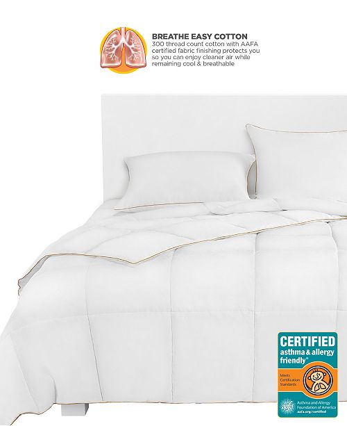 Great Sleep Comforter Pillow And Mattress Pad Collection