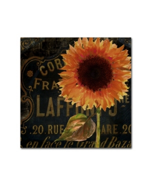 Trademark Global Color Bakery 'sunflower Salon Ii' Canvas Art In Multi