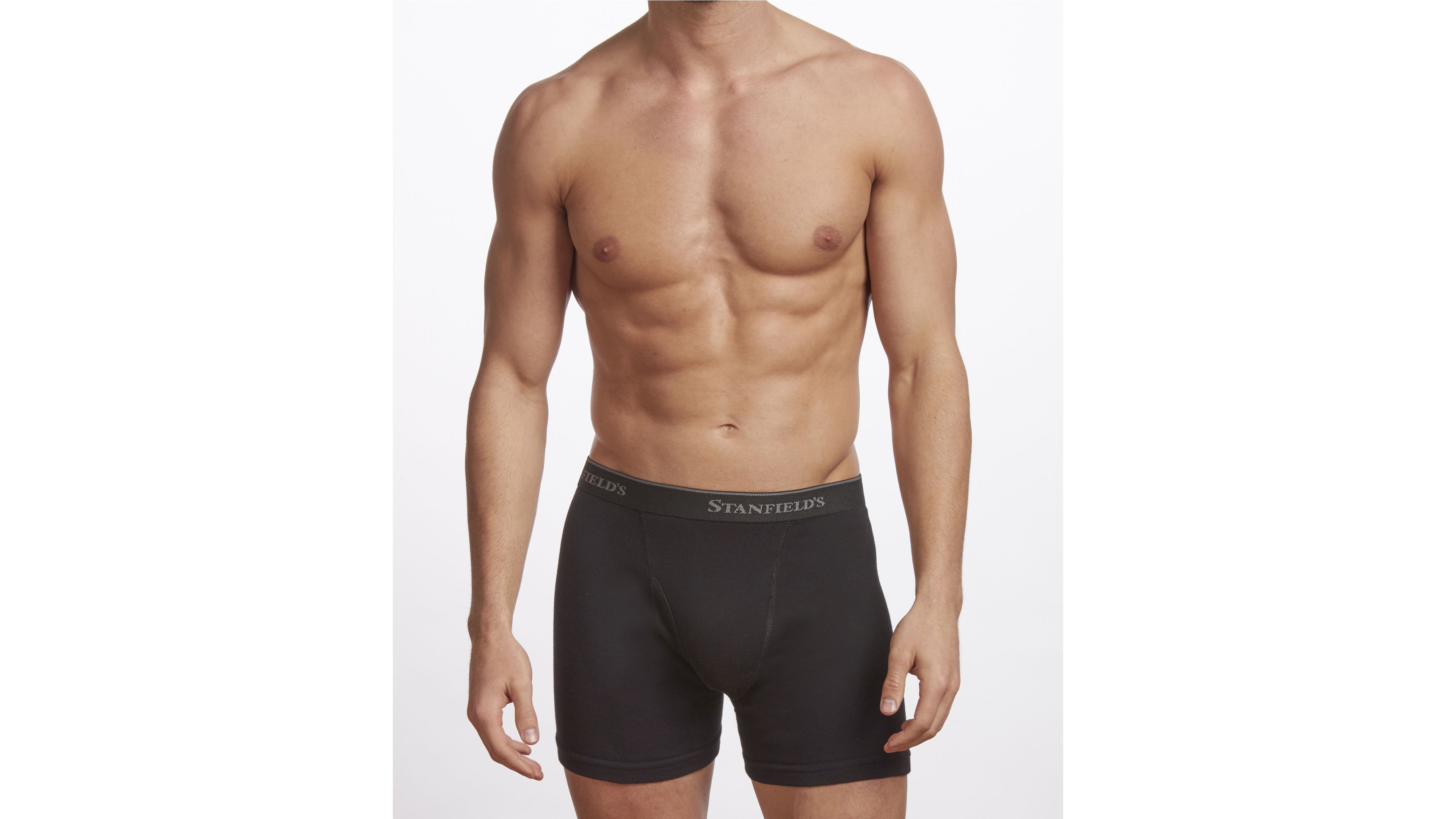 Stanfield's Premium Cotton Men's 2 Pack Boxer Brief Underwear