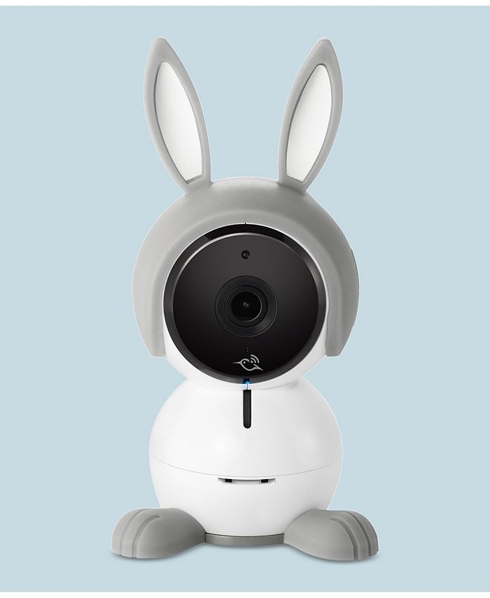Echo show arlo baby sale